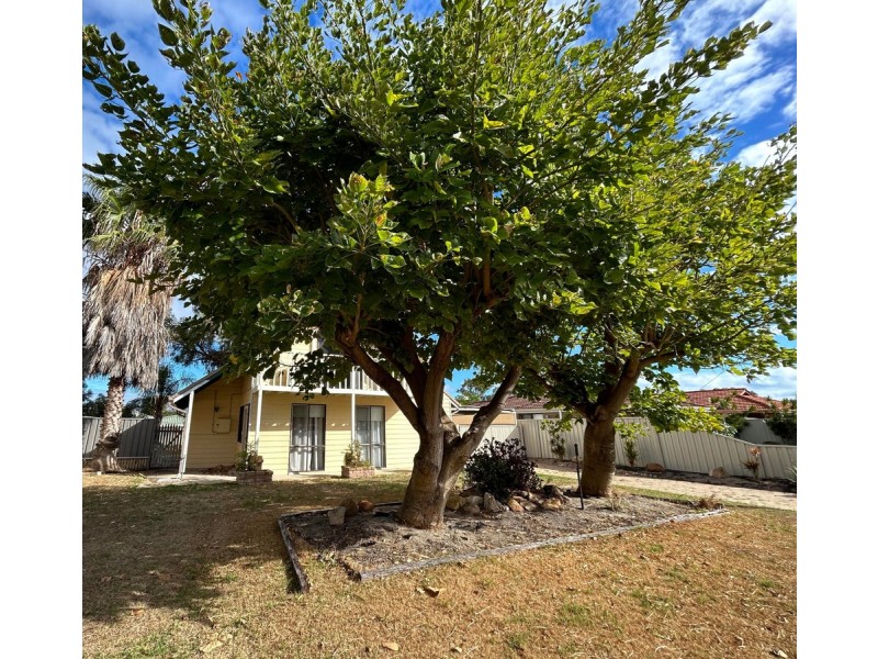 9 Clovelly Way, Warnbro WA 6169