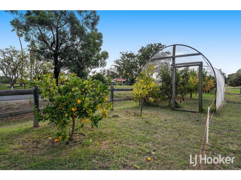 17 Hanover Way, West Pinjarra WA 6208