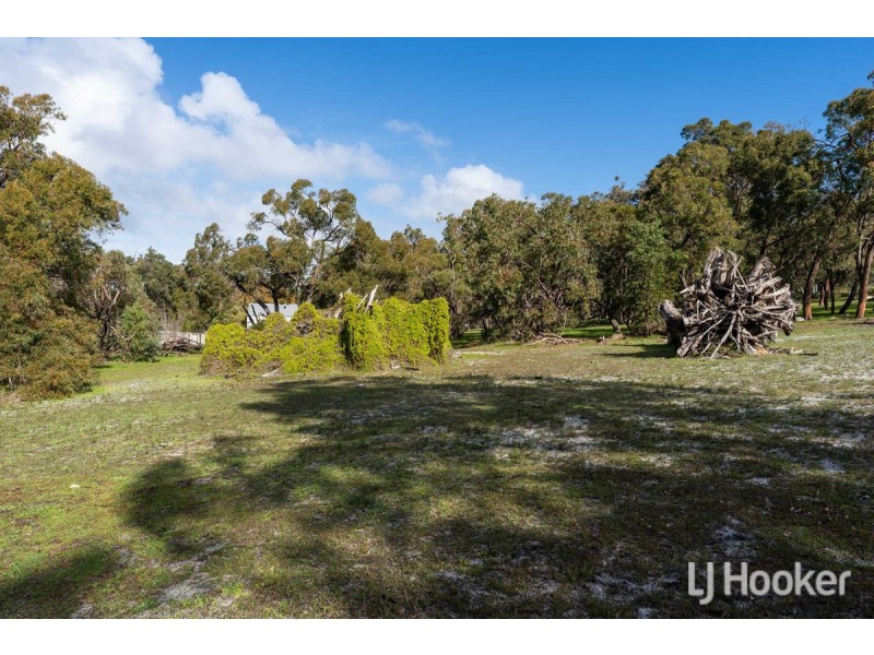 3 Pinto Close, Parklands WA 6180