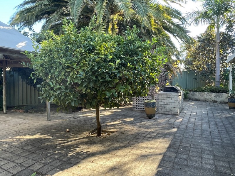 5 Linville Street, Falcon WA 6210
