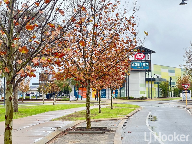 59 Pegus Meander, South Yunderup WA 6208