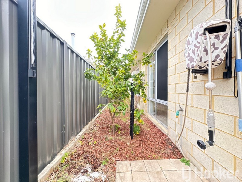 34 Whimbrel Crescent, Coodanup WA 6210