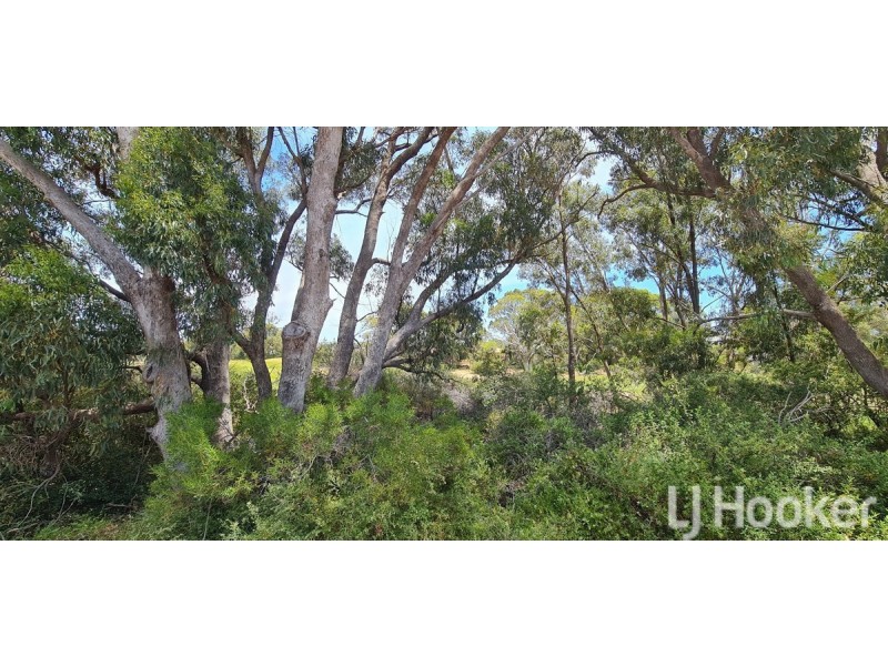 22 Willow Brook View, Meadow Springs WA 6210