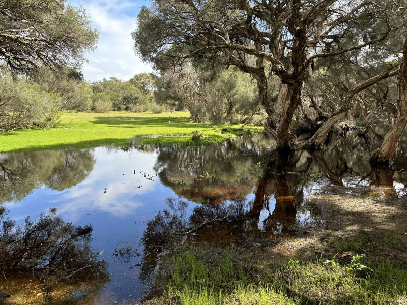 Lot 8/ Lowline Way, Barragup WA 6209