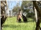 Lot 8/ Lowline Way, Barragup WA 6209