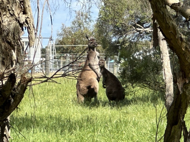 Lot 8/ Lowline Way, Barragup WA 6209