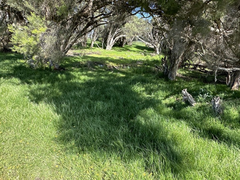 Lot 8/ Lowline Way, Barragup WA 6209