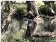 Lot 8/ Lowline Way, Barragup WA 6209