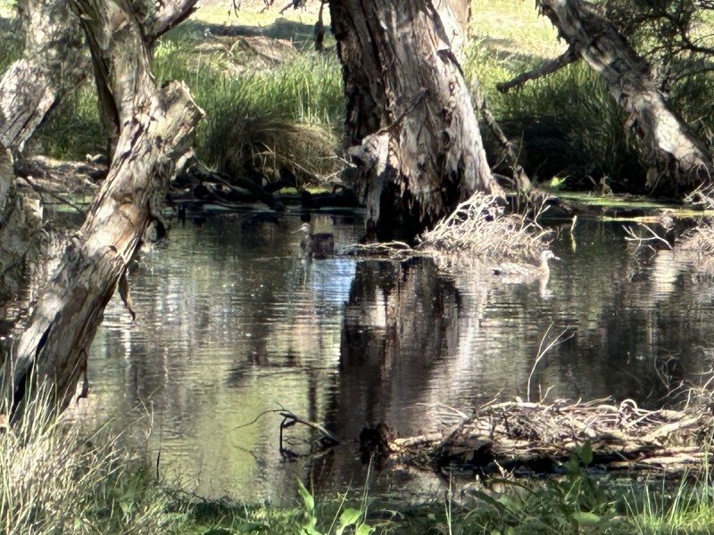 Lot 8/ Lowline Way, Barragup WA 6209