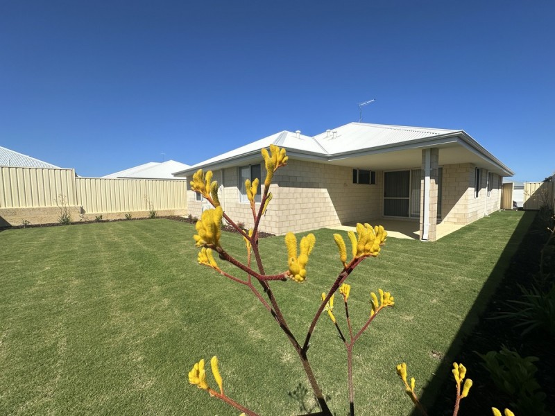35 Anaconda Loop, Dawesville WA 6211