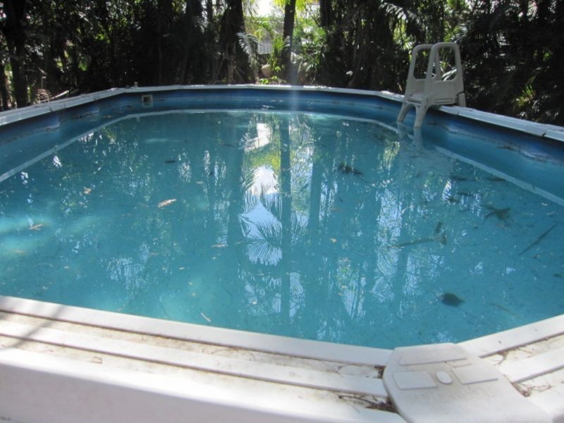 53 Didsbury Street, East Brisbane QLD 4169