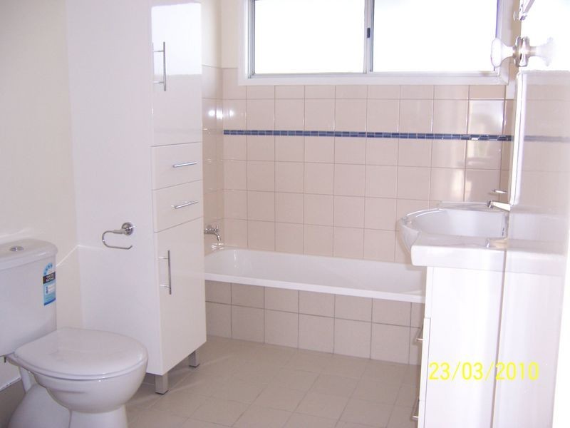 146 Sterculia Street, Holland Park QLD 4121