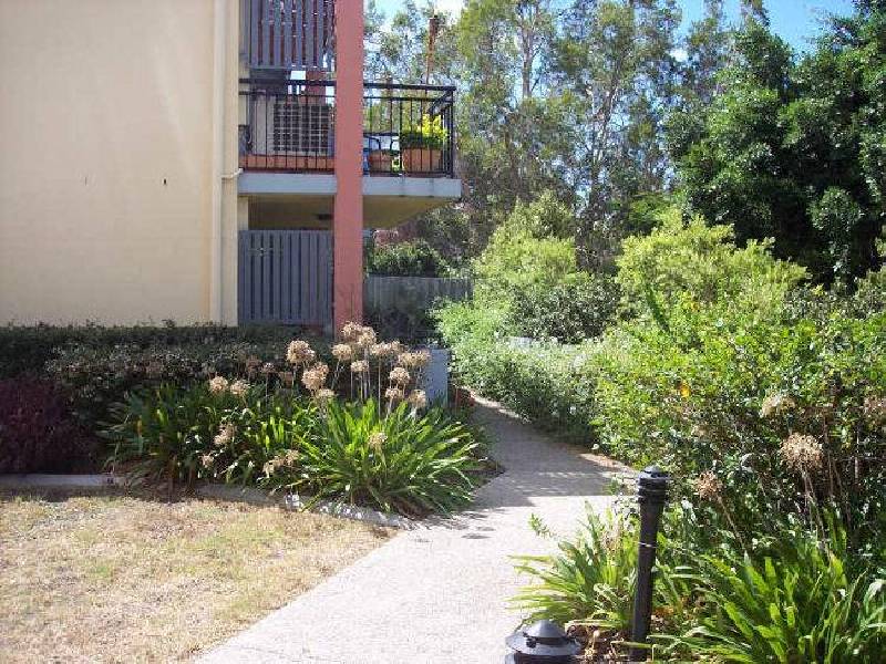 18/55 Harries Road, Coorparoo QLD 4151