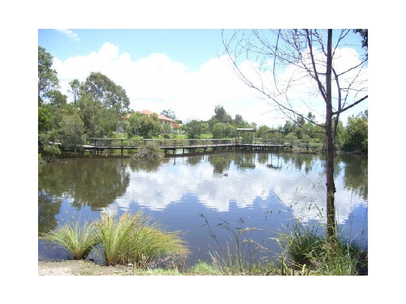 20 Boongall Road, Camp Hill QLD 4152