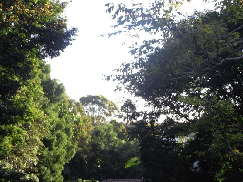 3 Flynn Street, Holland Park West QLD 4121