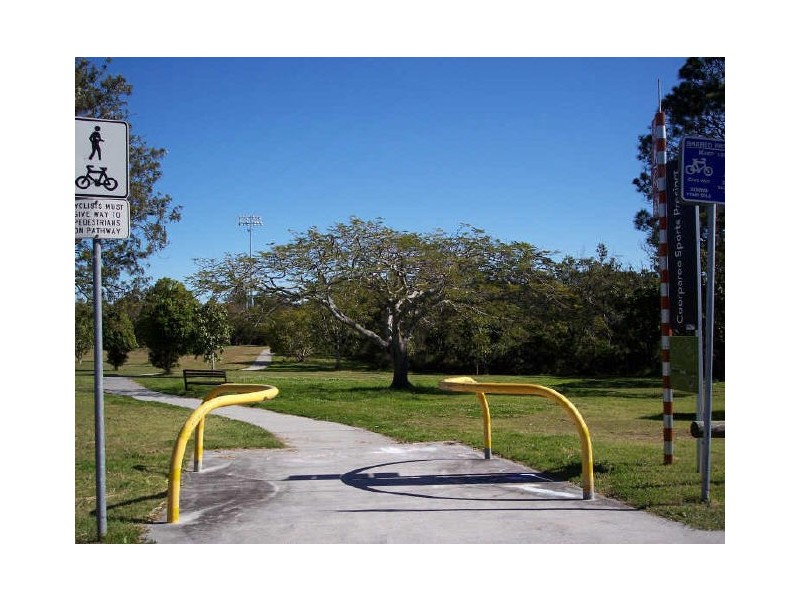 19 Rome Street, Coorparoo QLD 4151