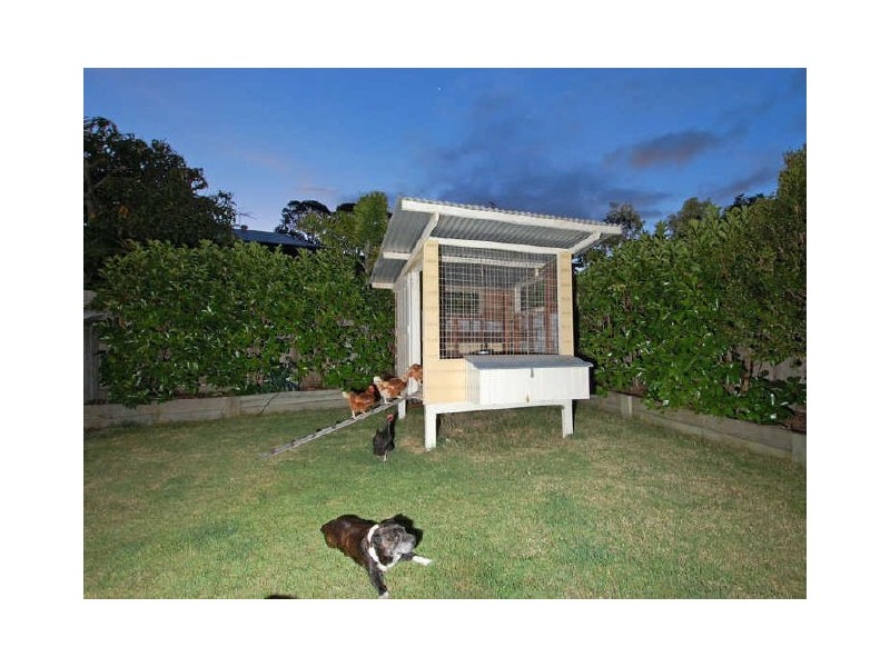 41 St Leonards Street, Coorparoo QLD 4151