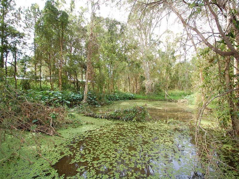 2034 Mount Cotton Road, Carbrook QLD 4130