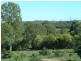 339 Hemmant-Tingalpa Road, Hemmant QLD 4174