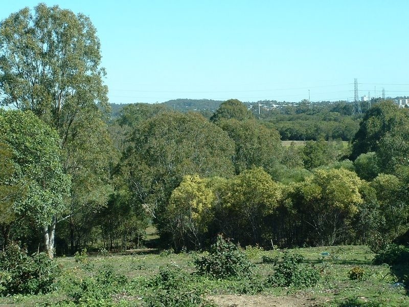 339 Hemmant-Tingalpa Road, Hemmant QLD 4174