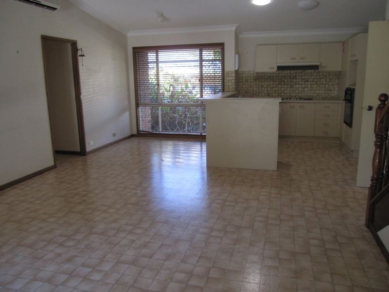 3 Cactus Court, Eight Mile Plains QLD 4113