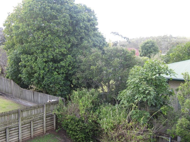 8/51 Gustavson Street, Annerley QLD 4103