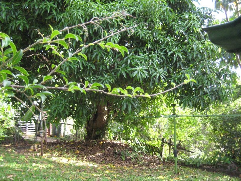 39 Selbourne Street, Mount Gravatt East QLD 4122