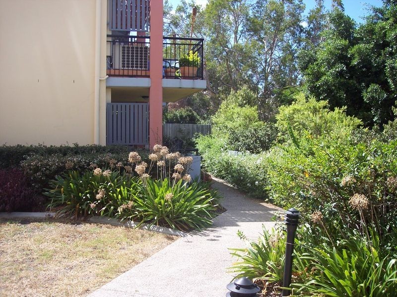 18/55 Harries Road, Coorparoo QLD 4151