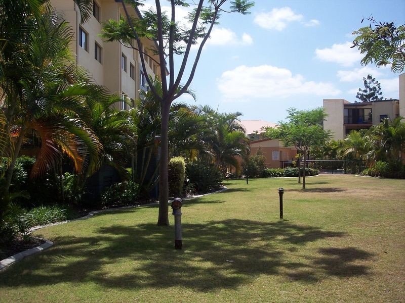 18/55 Harries Road, Coorparoo QLD 4151