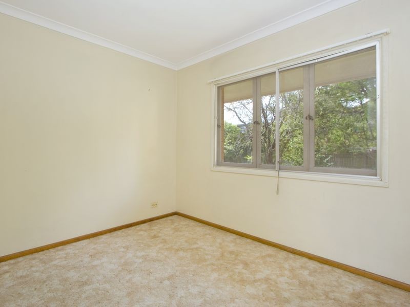 56 Nicklin Street, Coorparoo QLD 4151