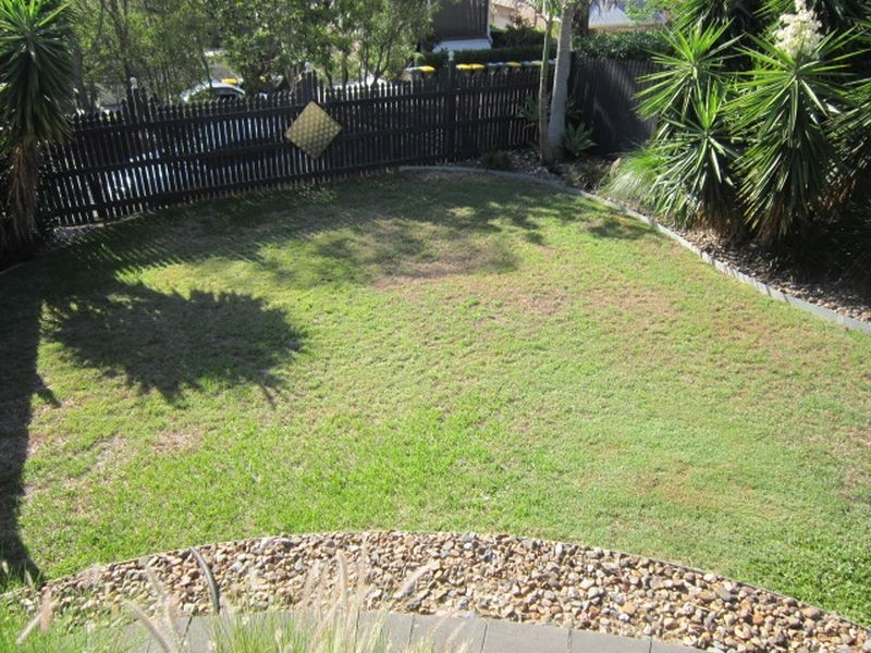 50 Daniells Street, Carina QLD 4152