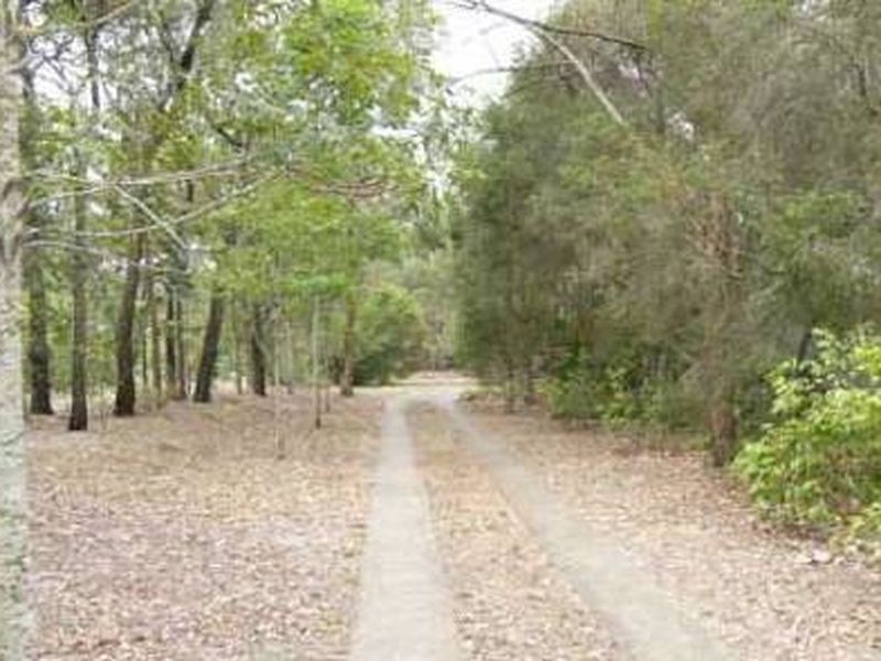 40 Lang Street, Sunnybank Hills QLD 4109