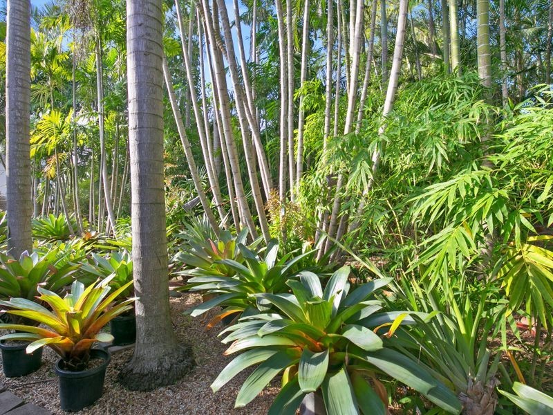 316 Chatsworth Road, Coorparoo QLD 4151