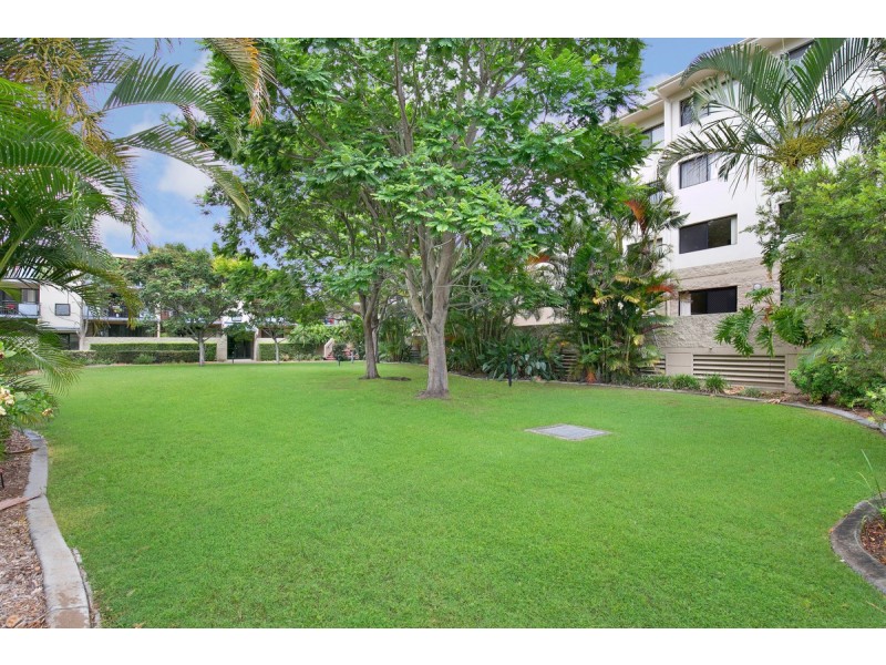 33/55 Harries Road, Coorparoo QLD 4151