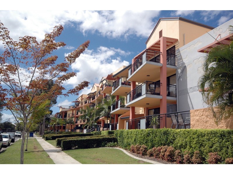 33/55 Harries Road, Coorparoo QLD 4151