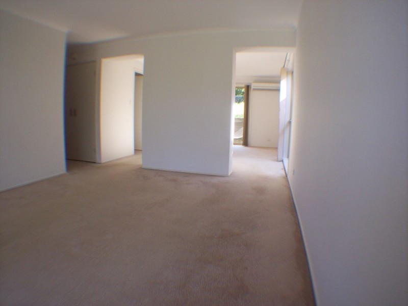 167 Macrossan Avenue, Norman Park QLD 4170