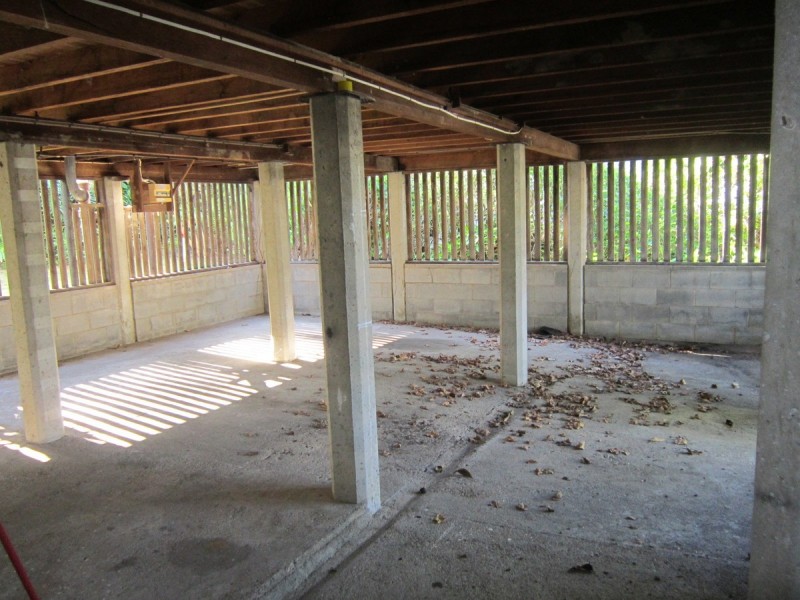 12 Nealdon Street, Holland Park QLD 4121