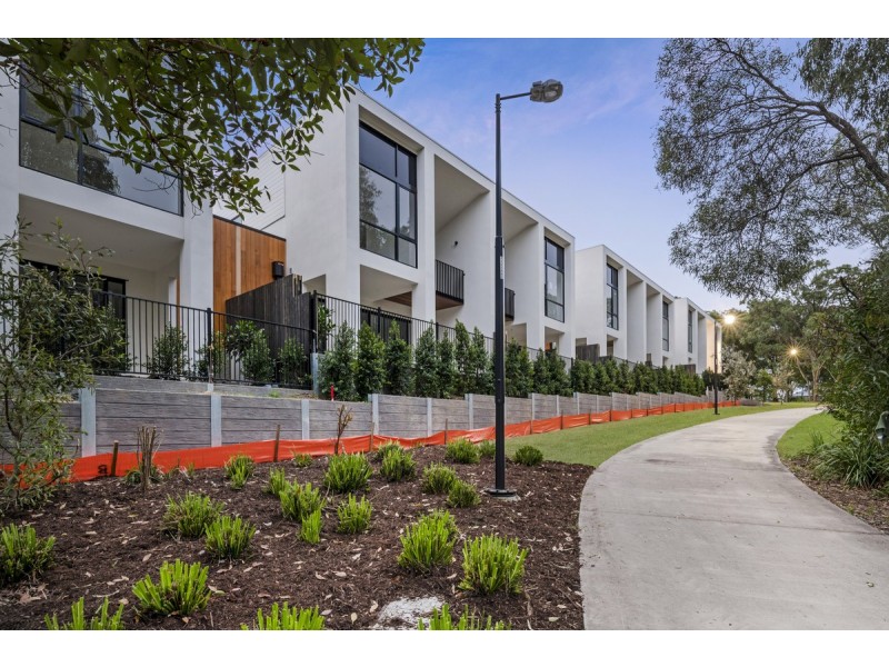 35 Smith Place, Cannon Hill QLD 4170