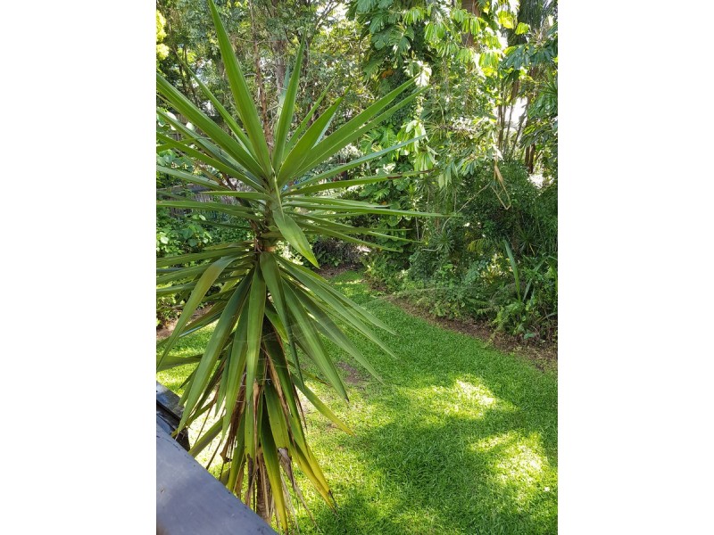 11 Dale Street, Coorparoo QLD 4151