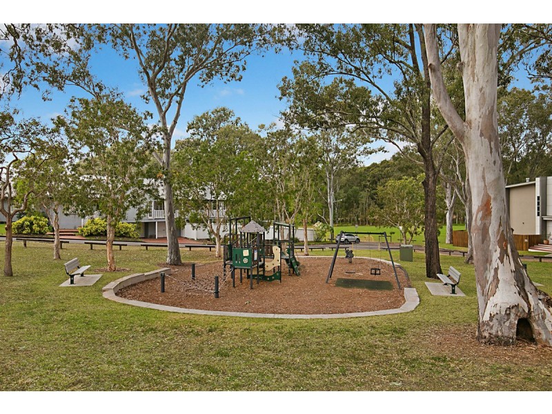 55 Canopus Street, Coorparoo QLD 4151