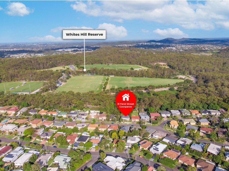 31 Ferol Street, Coorparoo QLD 4151