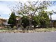 3 Cradock Street, Holland Park QLD 4121