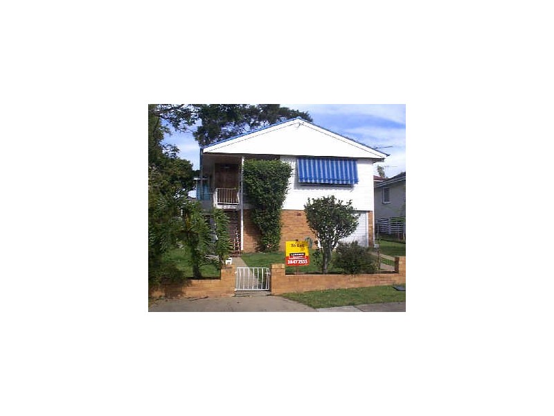 59 Halstead Street, Coorparoo QLD 4151