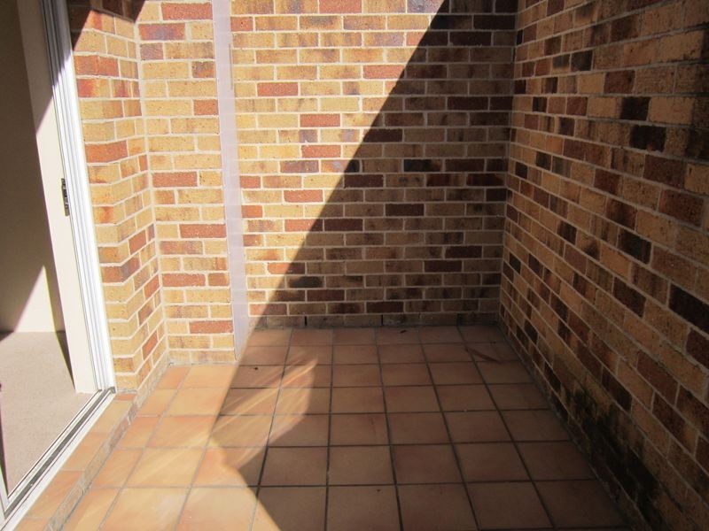 2/237 Cavendish Road, Coorparoo QLD 4151