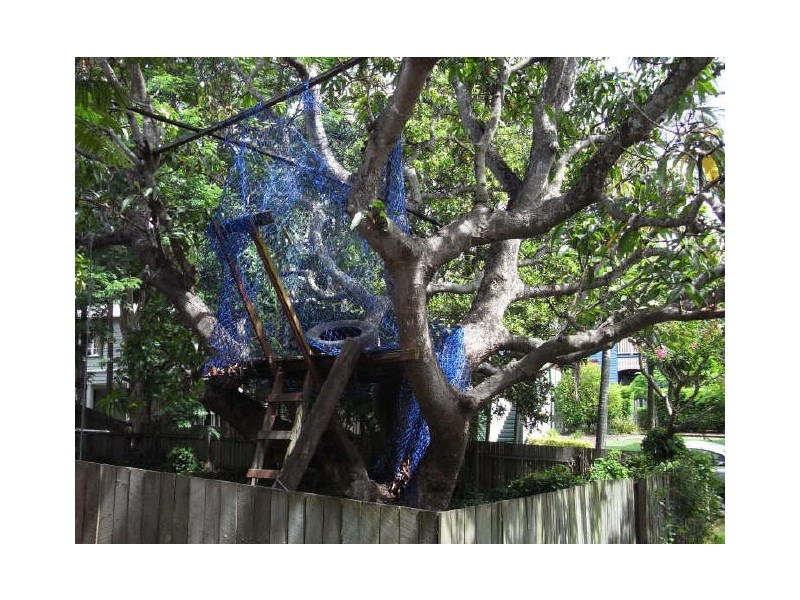 42 Mackay Street, Coorparoo QLD 4151