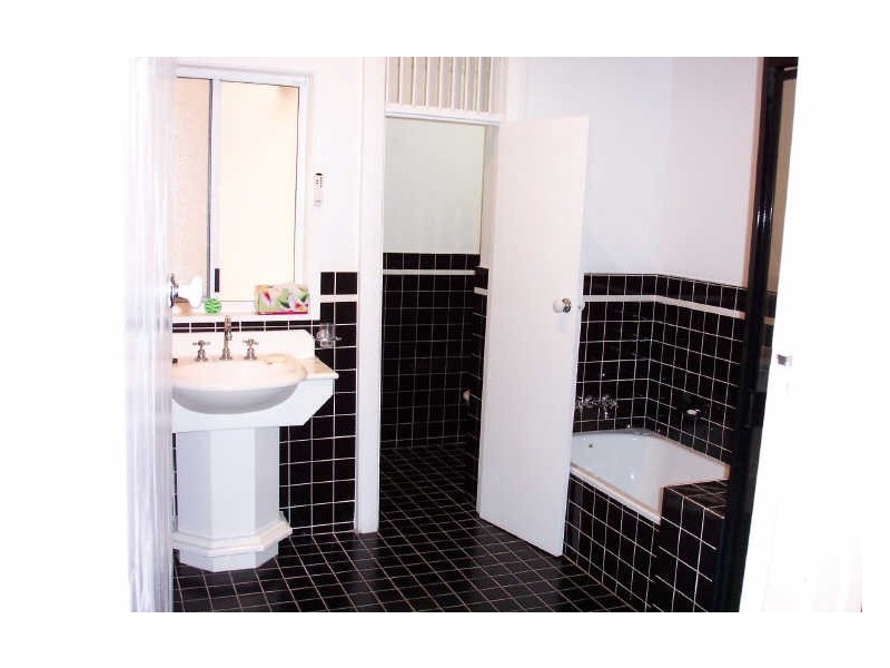 51 Illidge Street, Coorparoo QLD 4151