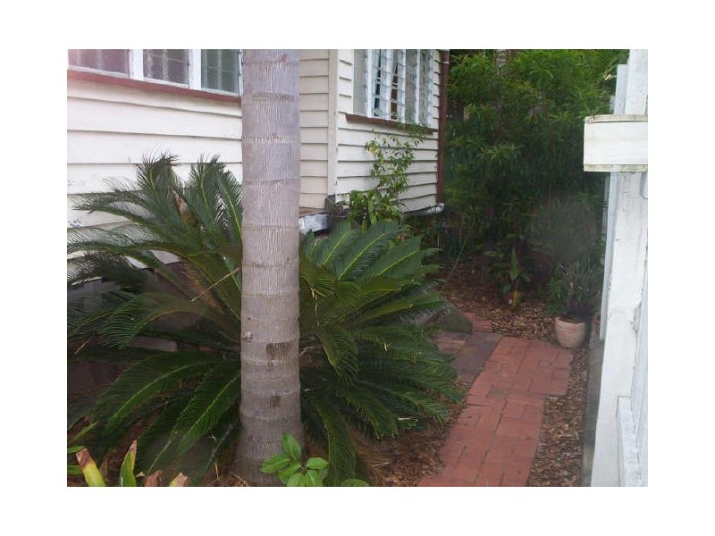 21 Longlands Street, East Brisbane QLD 4169