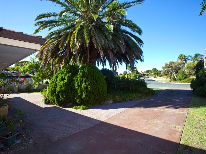 17 Chancery Lane, Alexander Heights WA 6064