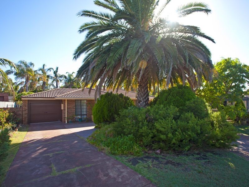 17 Chancery Lane, Alexander Heights WA 6064