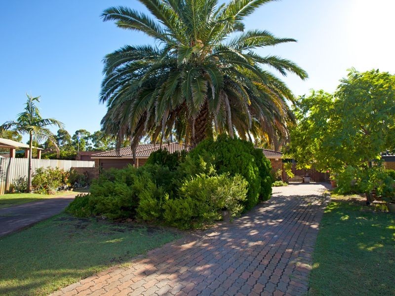 17 Chancery Lane, Alexander Heights WA 6064